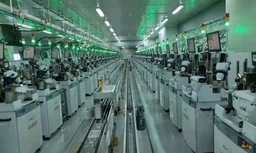 青山湖區助力兆馳光電創新發展，驅動電子信息產業提檔升級