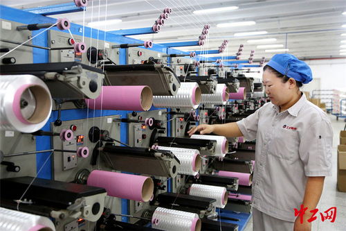 連云港外貿(mào)企業(yè)“雙輪驅(qū)動(dòng)” 搶訂單與強(qiáng)技術(shù)并行，開拓出海新航道