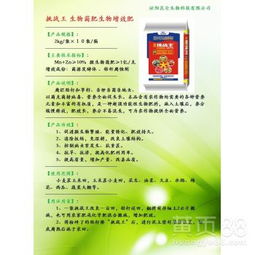 生物菌肥在蔬菜田土壤改良中的應(yīng)用 專(zhuān)屬型土壤改良劑的研發(fā)探索